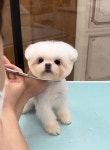 댕모먼트