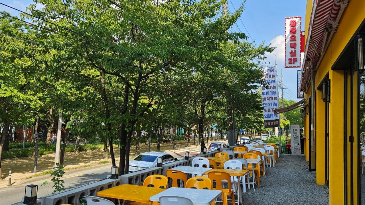 수성야시장