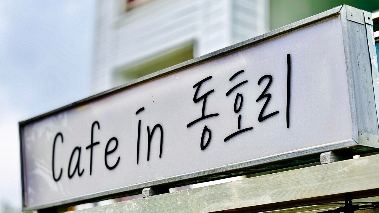 카페인 동호리
