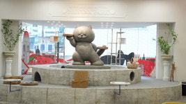 루프캣미 고양이카페 명동점