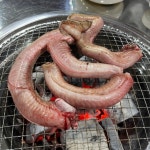 늘방실 꼼장어