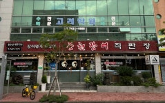 천장어 제주