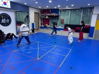 국가대표최강태권도