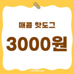 수정당찹쌀꽈배기고로케