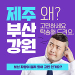 다이어트카닷컴