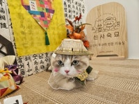 신사숙묘