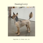 댕로리 애견미용실