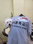 미용특공대