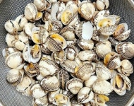 옥이네 닭내장탕