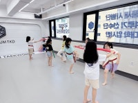 국가대표차오름태권도