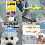 애견미용실 또이쁜댕