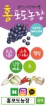 송산포도홍포도농장서신바다뜰포도