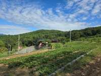 용연농장