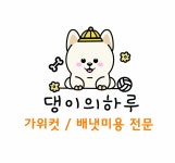 댕이의하루,애견유치원 애견호텔