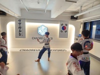 국가대표차오름태권도