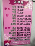 윤나 장원 미용실 | 윤하헤어샵