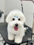 뽀르몽