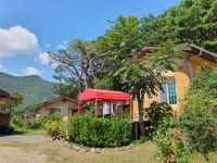 소나무흙집민박