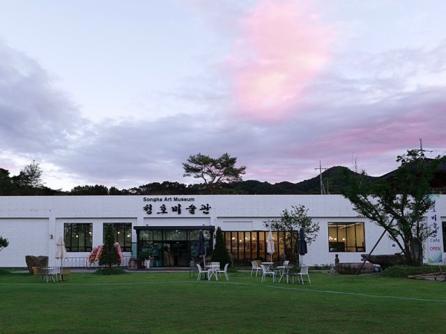 청호미술관 카페