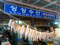 싱싱수산