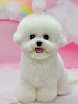 뽀르몽