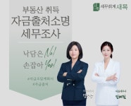 세무회계새록