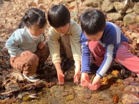 굴렁쇠 어린이집