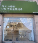 타이니멀