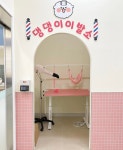 댕댕스파
