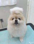 몽실