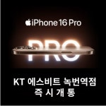 KT 레이시트 녹번역점