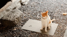 김녕 히든 플레이스