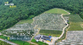 팜마티나 사과농장 & 쌀 베이커리