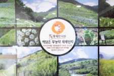 동제한의원