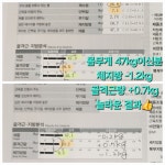 셀포랩 스타