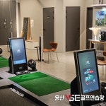 디브이엘피 용산 vse 골프연습장