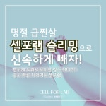 셀포랩유앤미