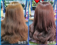 큐사랑서정화헤어살롱