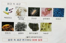 에이치홈케어