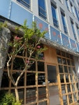 샌프란시스코국밥