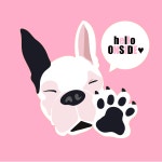 온사이드 애견카페 애견유치원 애견호텔