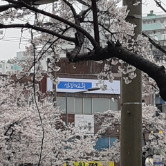섬김의교회