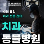 돌봄 동물병원