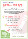 라엘뮤직앤아트전문학원