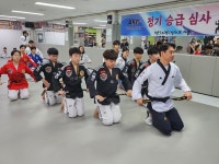 경희대 태권도 스쿨