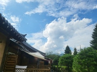 숲속 아지트