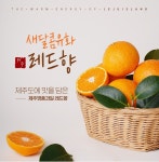 새달콤유화매장