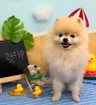 라이크잇
