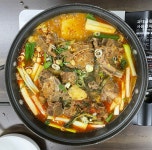 정박사