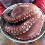 제주수산